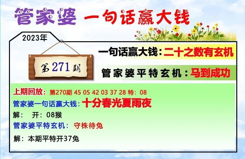 202管家婆一肖一码,广泛的解释落实方法分析_HD22.62