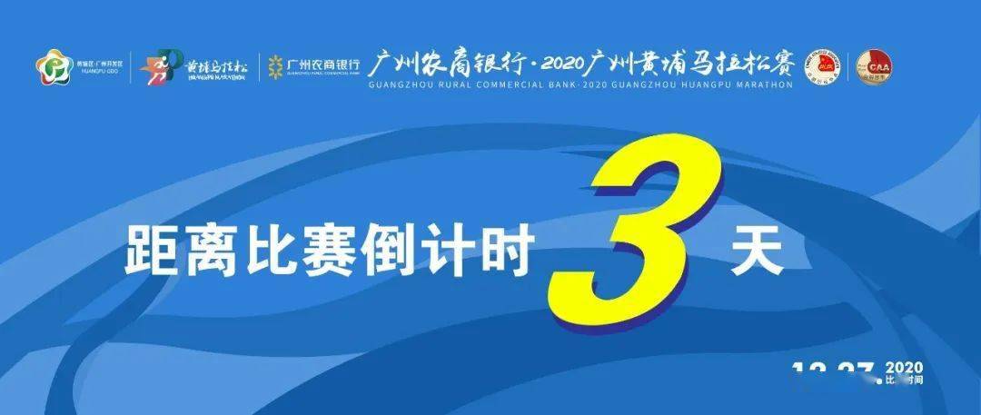 2024今晚新澳门开特马,最佳实践策略实施_完整版26.121