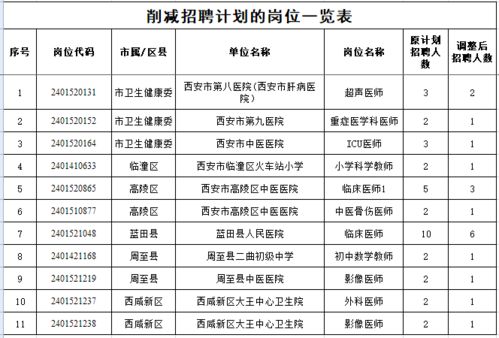 桃山区级托养福利事业单位发展规划展望